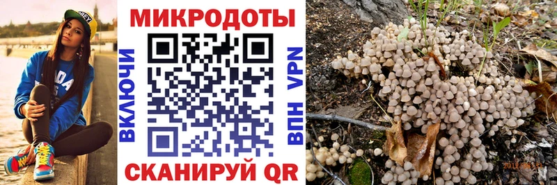 Псилоцибиновые грибы ЛСД  где купить наркоту  Владивосток 