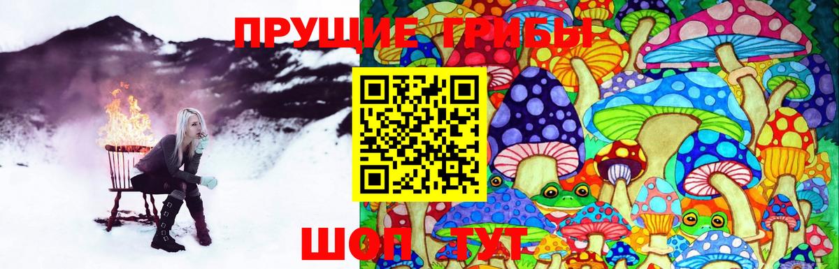 Псилоцибиновые грибы мухоморы Владивосток