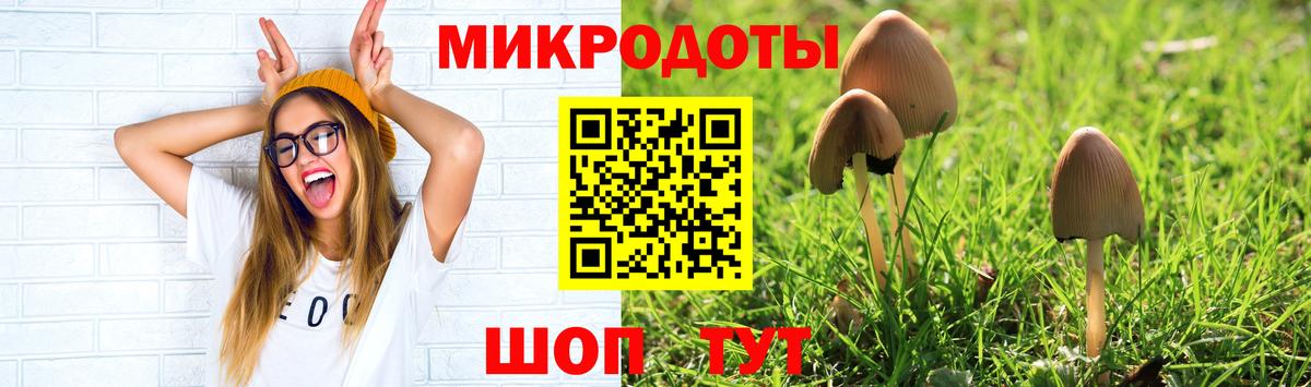 Псилоцибиновые грибы Magic Shrooms Владивосток