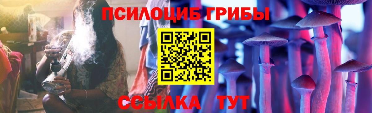 Владивосток  Псилоцибиновые грибы Psilocybine cubensis  Вход с VPN 